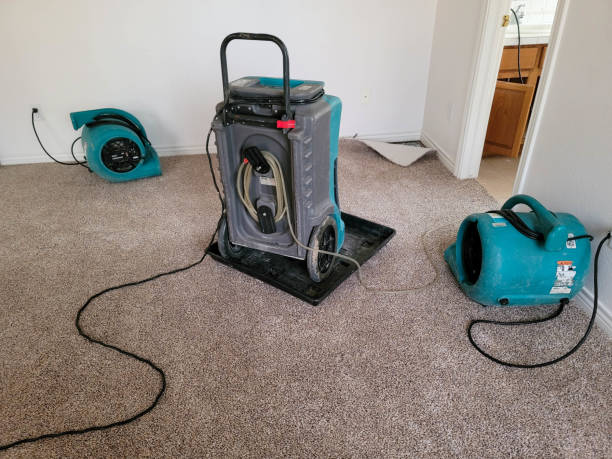 Professional Water damage restoration in Apollo Beach, FL