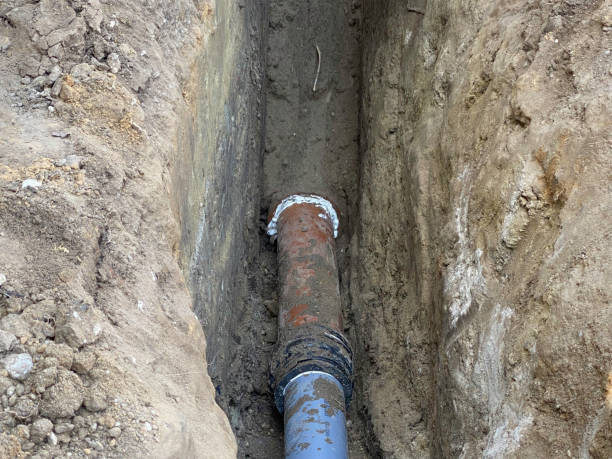 Best Sewage cleanup and water damage restoration  in Apollo Beach, FL